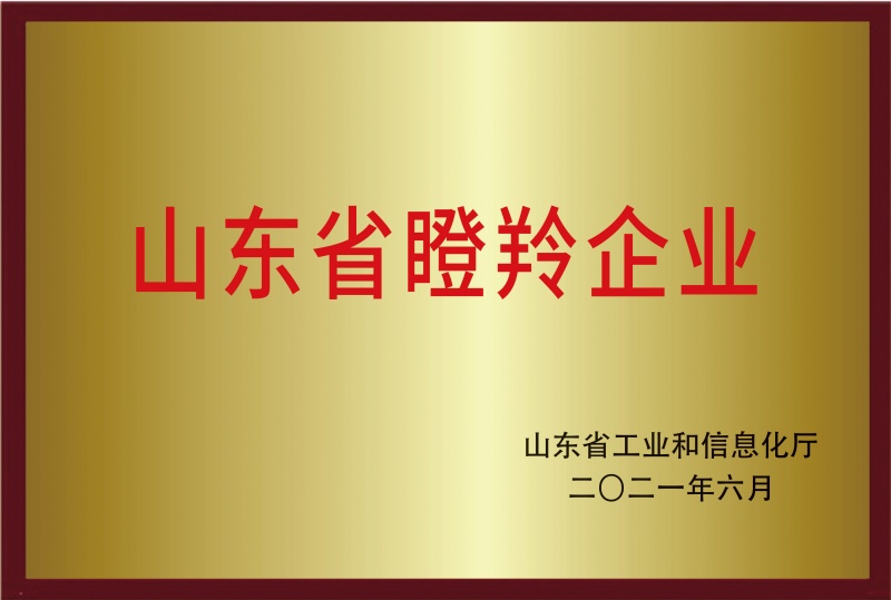 山东省瞪羚企业