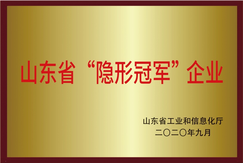 山东省隐形冠军