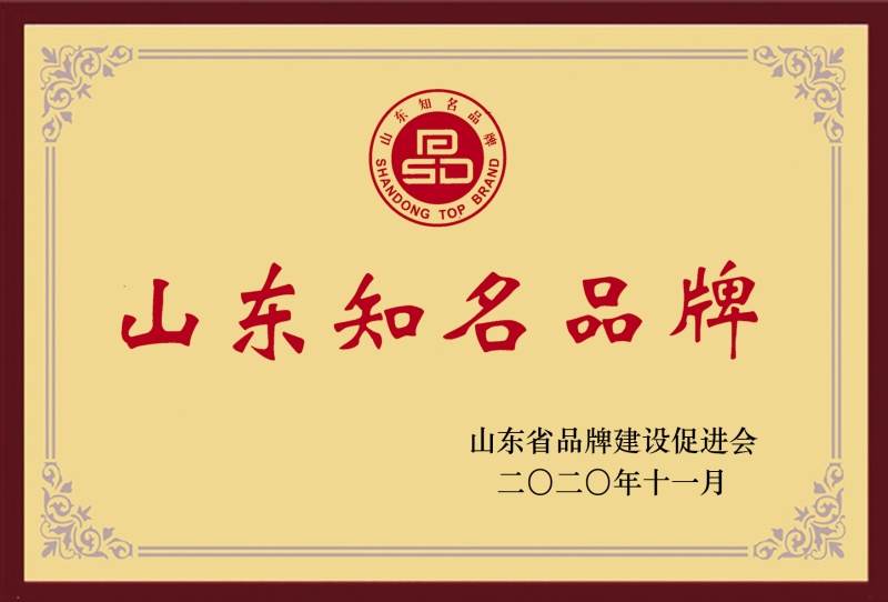 山东知名品牌